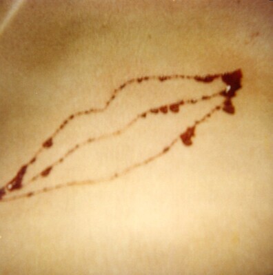 1981_1990\1990.0109.jpg; 1990.0109; ;